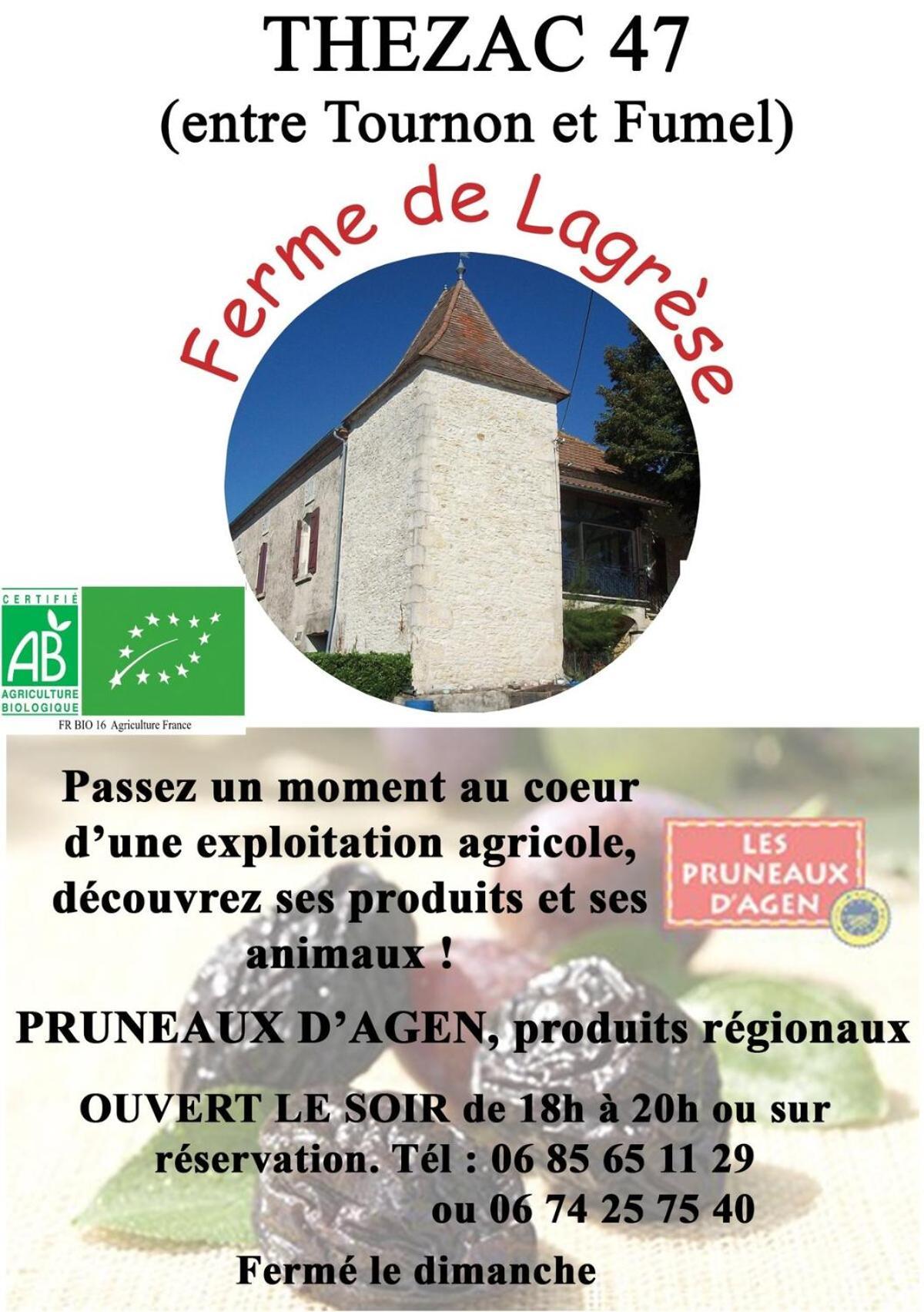 Gite De Coustals Thézac Exterior foto
